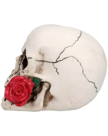 Casanova Skull Prop