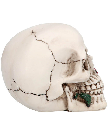 Casanova Skull Prop