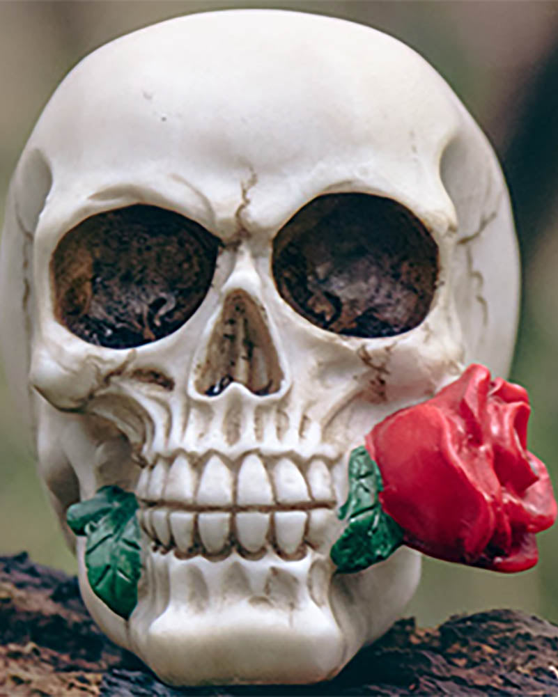 Casanova Skull Prop