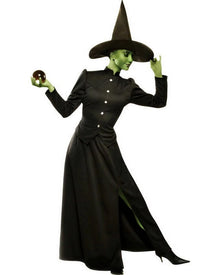 Classic Wicked Witch Womens Costume