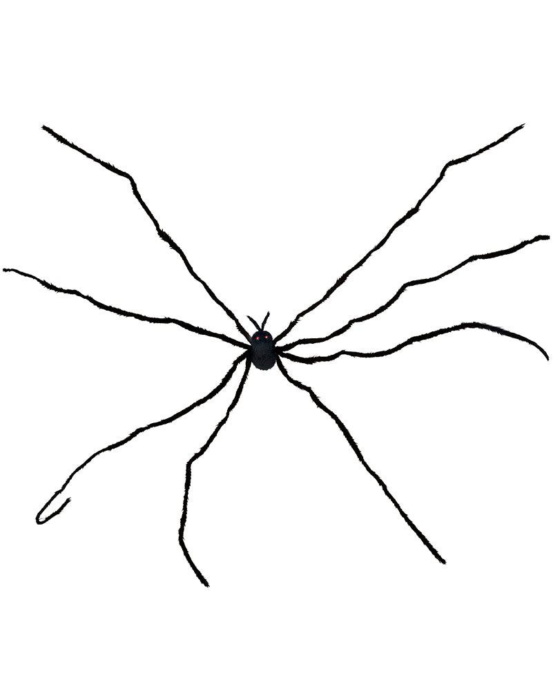 Daddy Long Legs Spider 53cm For Halloween