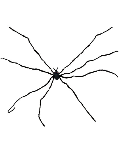 Daddy Long Legs Spider 53cm For Halloween