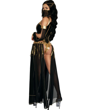 Dark Harem Nights Premium Womens Costume