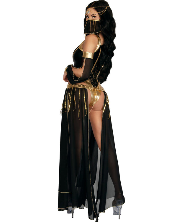 Dark Harem Nights Premium Womens Costume
