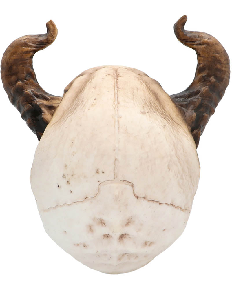 Devil with Movable Jaw Skull Prop
