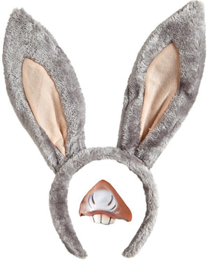 Gray donkey ears with a nose on a white background