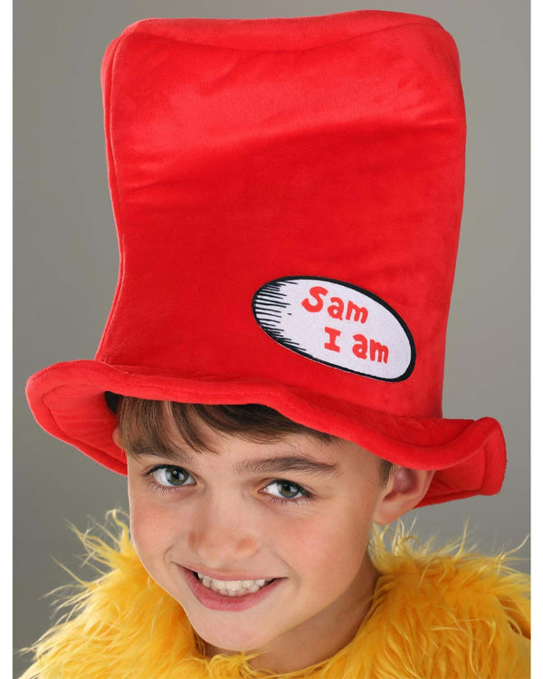 Dr Seuss Sam I Am Kids Costume