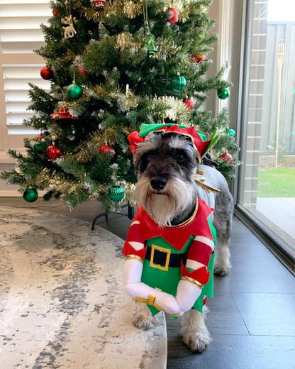 Elf Pup Pet Christmas Costume
