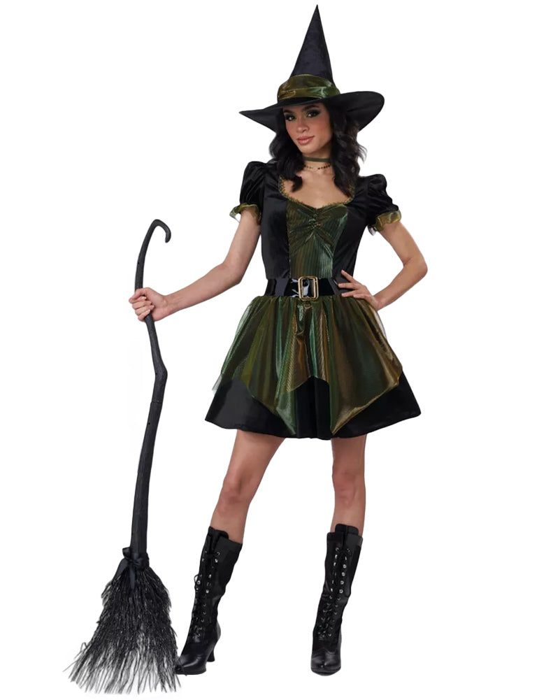Emerald City Witch Womens Costume