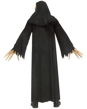 Fading Wicked Sister Adult Costume