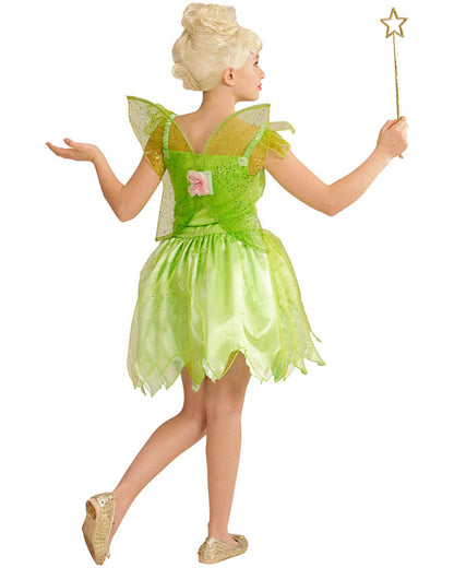 Fairy Girls Costume