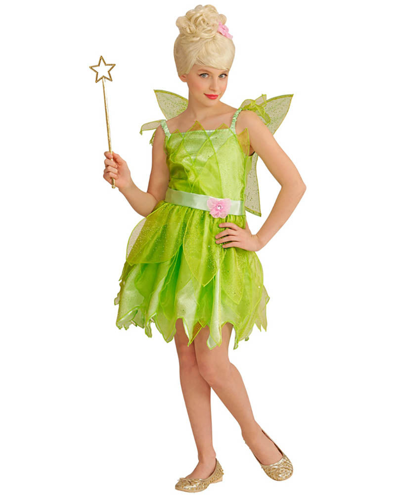 Fairy Girls Costume