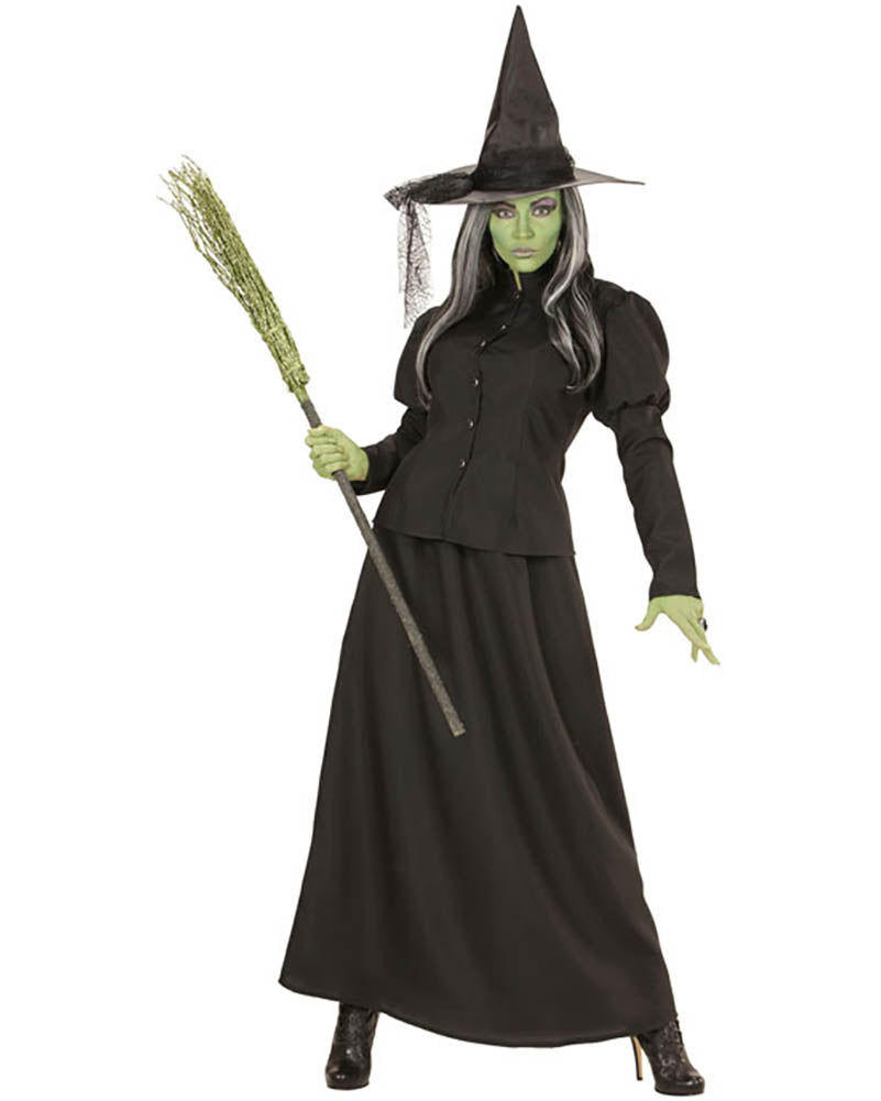 Fairytale Green Witch Womens Costume