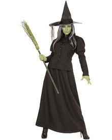 Fairytale Green Witch Womens Halloween Costume