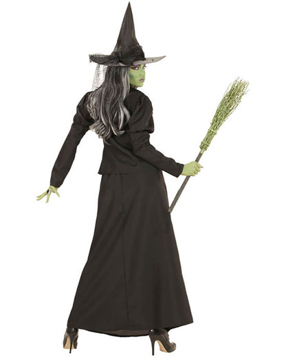 Fairytale Green Witch Womens Costume