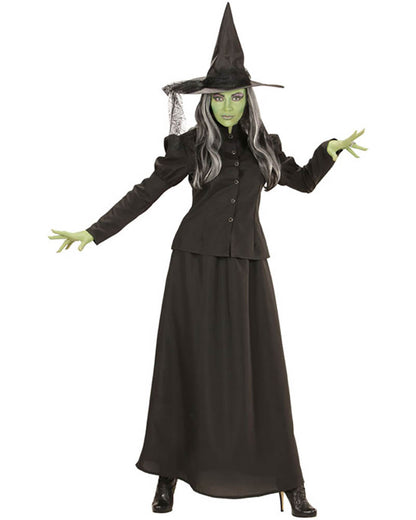 Fairytale Green Witch Womens Costume