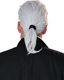 Fashion Legend Grey Ponytail Wig