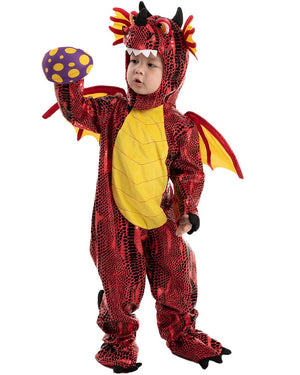 Fire Dragon Kids Costume