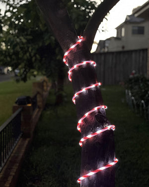 Flash Christmas LED Candy Tubelight 10m