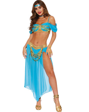 Genies Delight Womens Costume