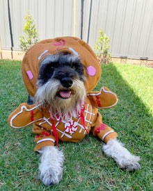 Gingerbread Pup Dog Christmas Costume
