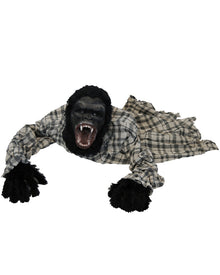 Gorilla with Light Up Eyes Halloween Animatronic 1.3m