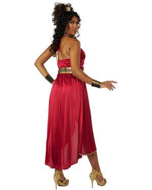 Grecian Wine Princess Womens Costume