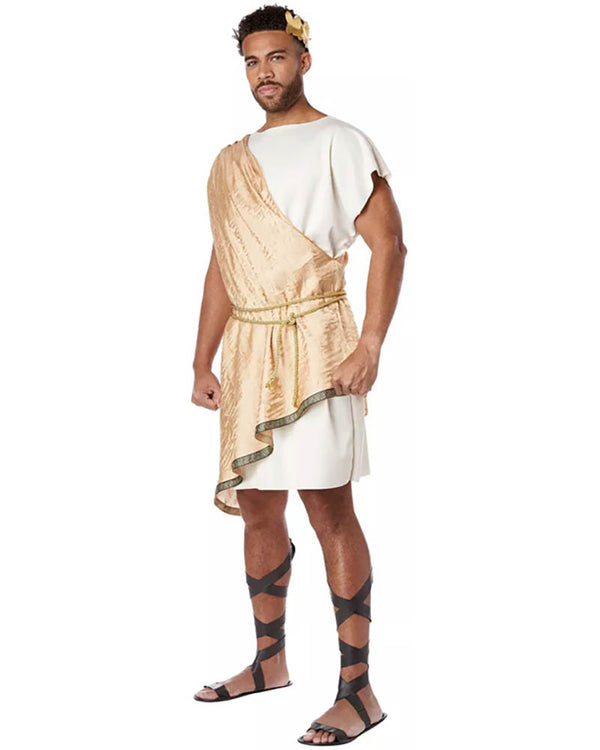 Greek God Toga Plus Size Mens Costume