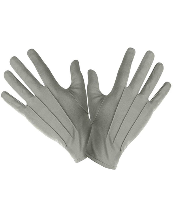 Pair of gray gloves on a white background