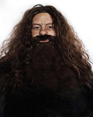 Gamekeeper Premium Long Brown Wavy Wig and Beard