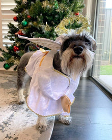 Heavenly Hound Pet Christmas Costume