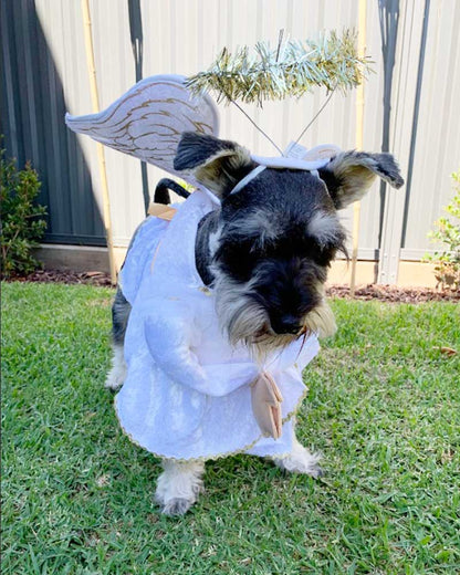 Heavenly Hound Pet Christmas Costume