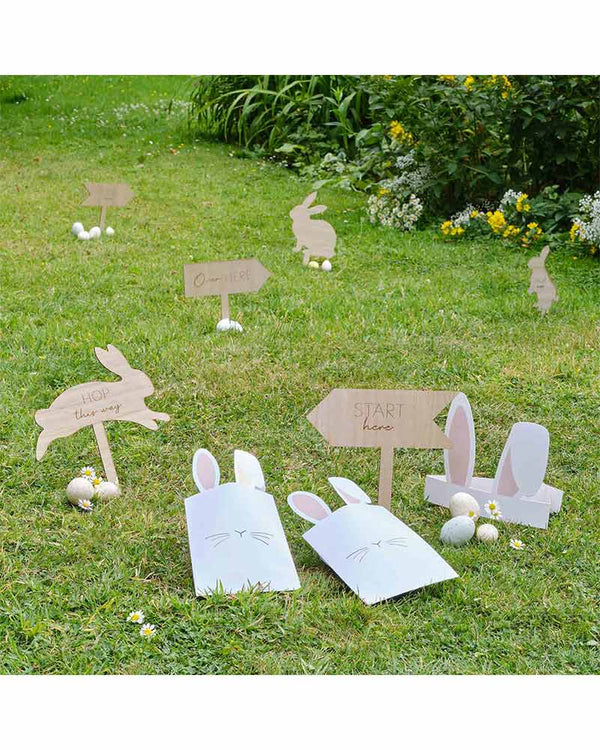 Hey Bunny Egg Hunt Kit
