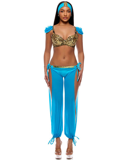 Jazzy Princess Womens Costume