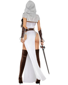 Knight Heroine Deluxe Womens Costume
