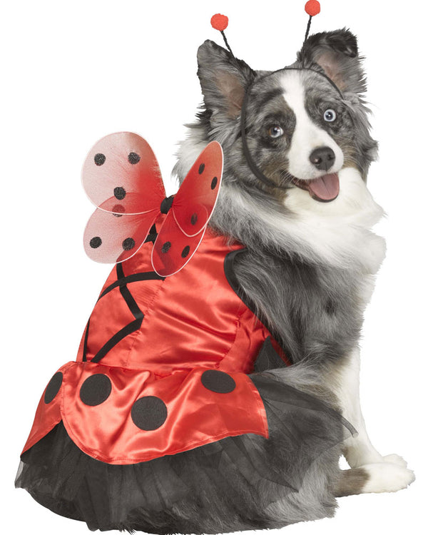 Ladybug Dress Pet Costume