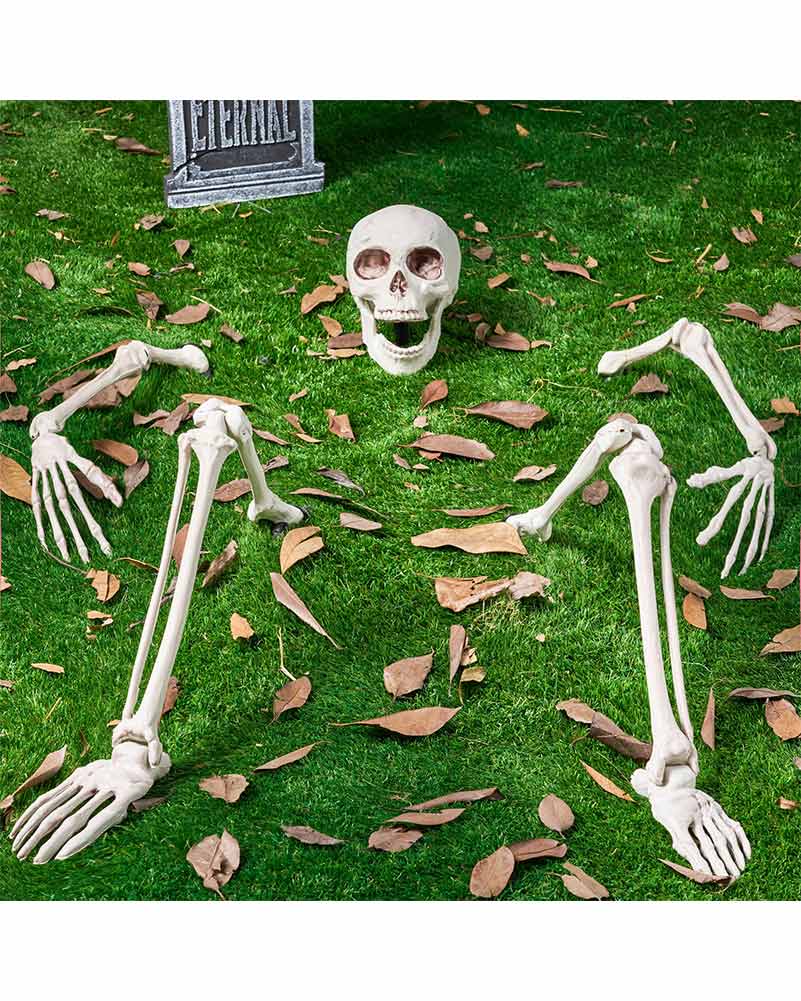 Life Size Skeleton Stakes Groundbreaker