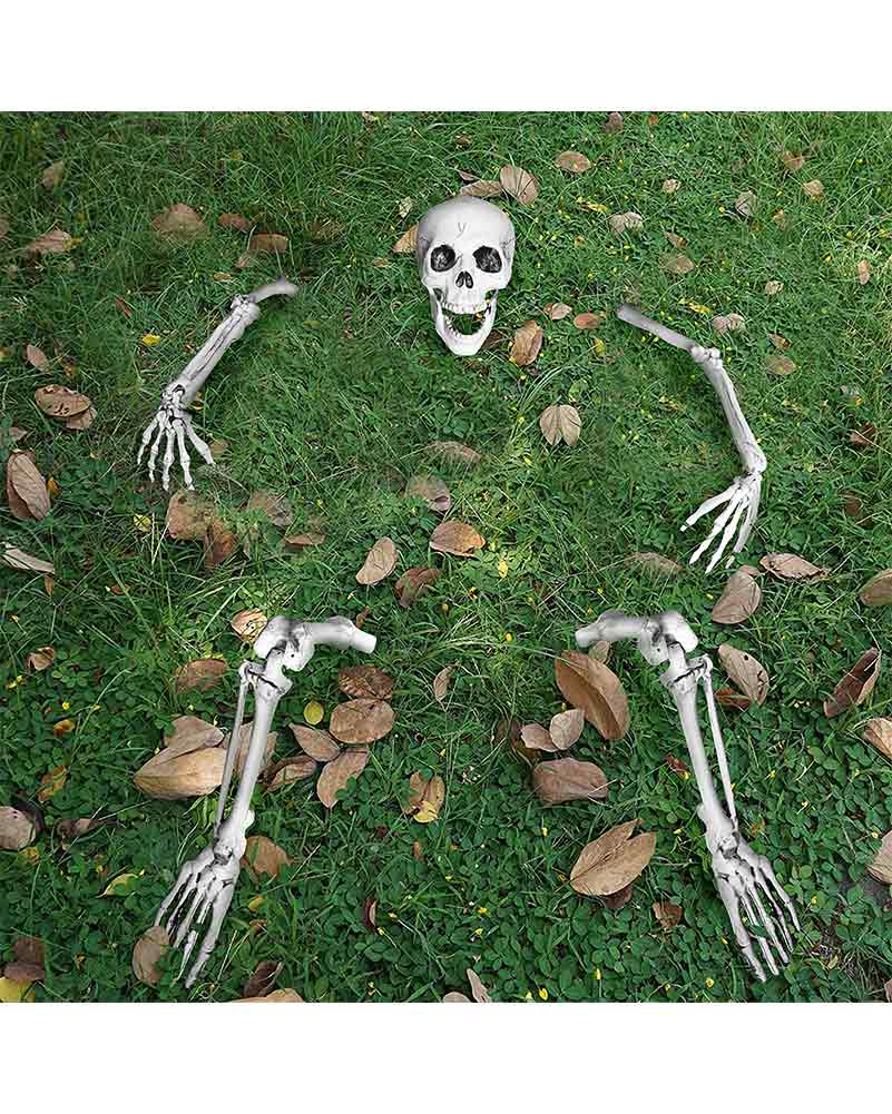 Life Size Skeleton Stakes Groundbreaker