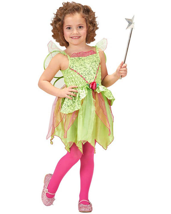 Magic Fairy Toddler Girls Costume