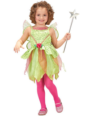 Magic Fairy Toddler Girls Costume