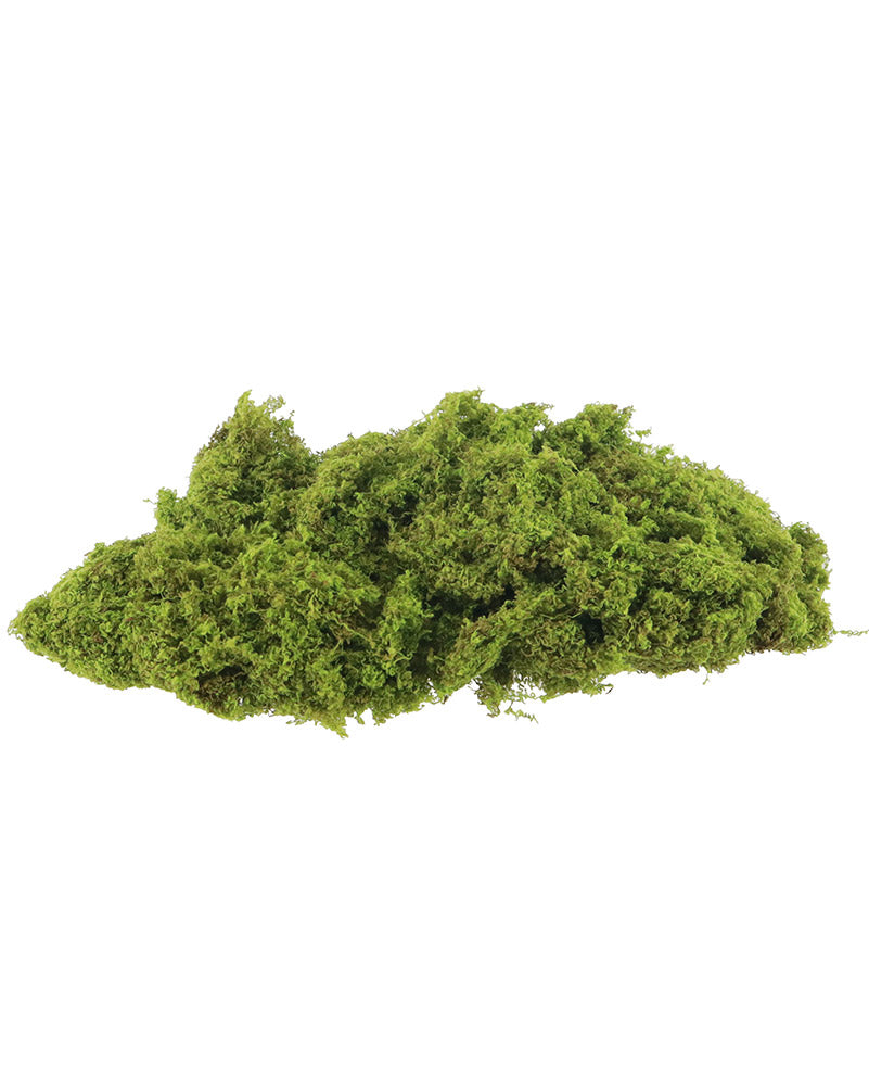 Moss Decor 20g For Halloween