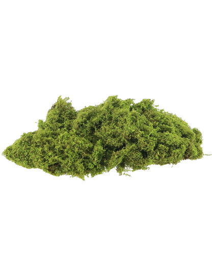 Moss Decor 20g For Halloween