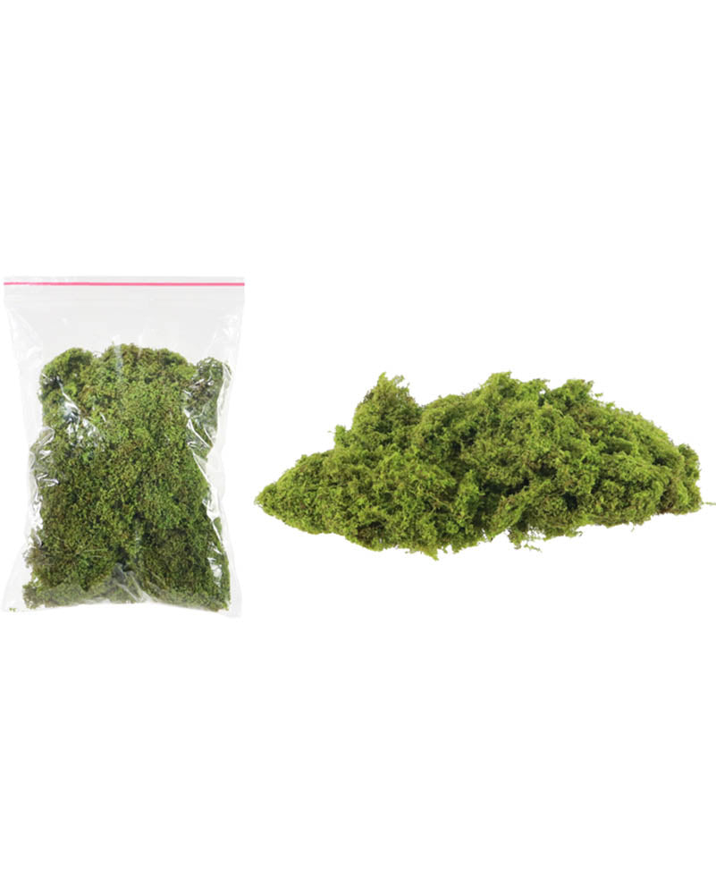 Moss Decor 20g For Halloween