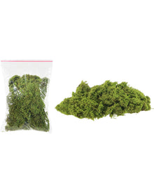 Moss Decor 20g For Halloween