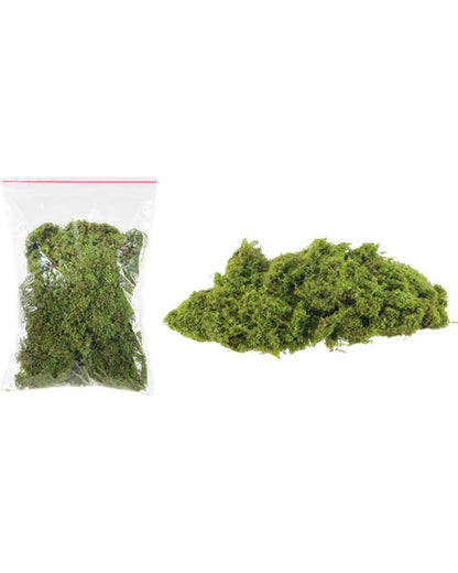 Moss Decor 20g For Halloween