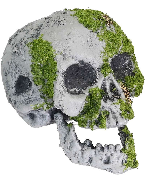 Moss Skull Decoration 16cm