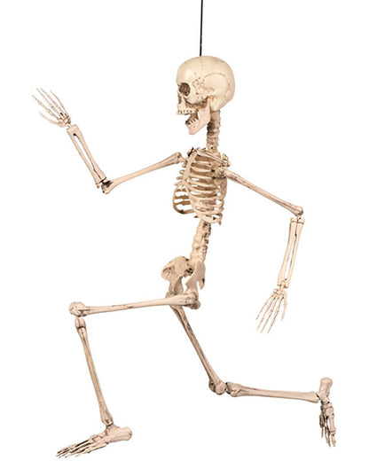 Movable Skeleton Flex Hanging Decoration 50cm
