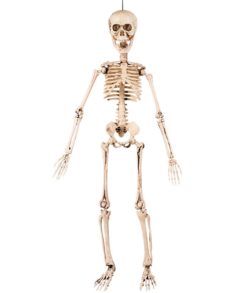 Movable Skeleton Flex Hanging Decoration 50cm