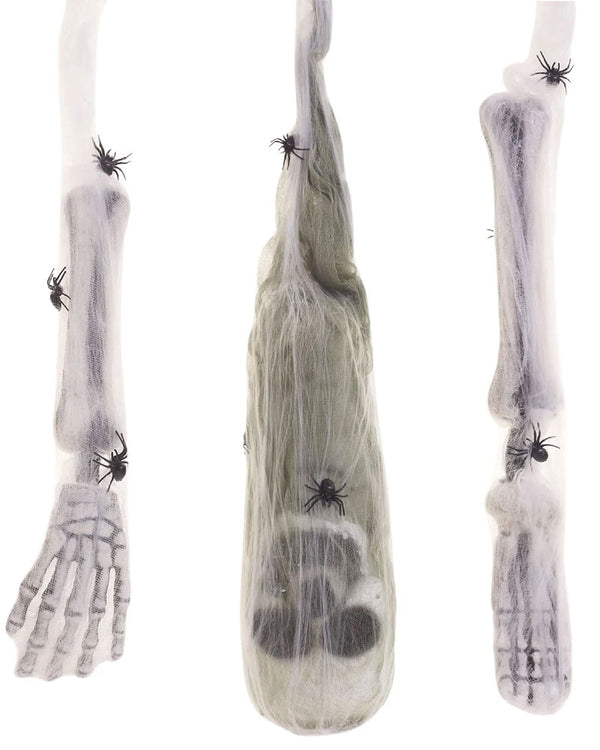 Outdoor House Spider Kit