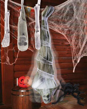 Outdoor House Spider Kit